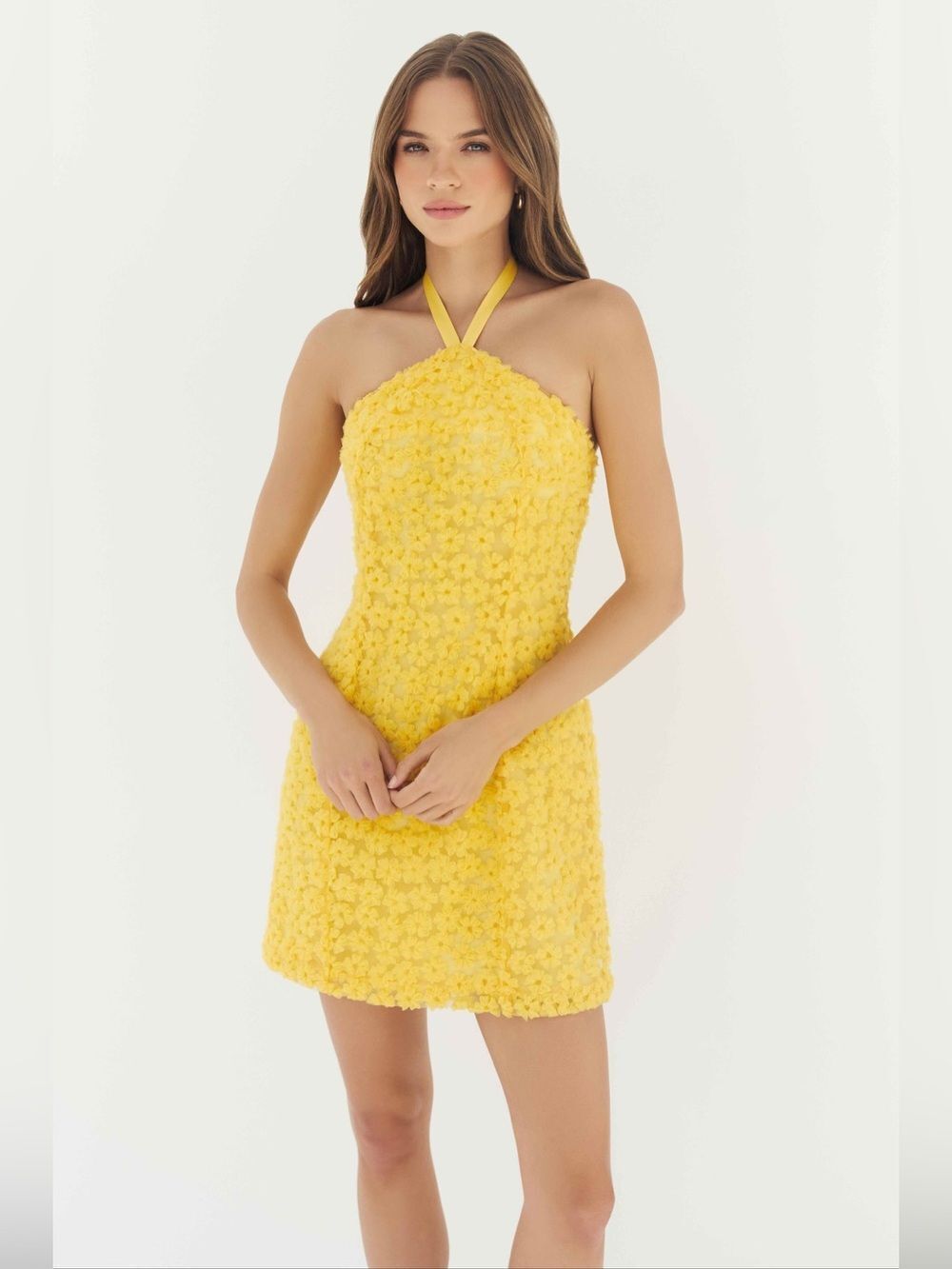 NWT Hutch delanie dress